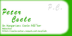 peter csele business card